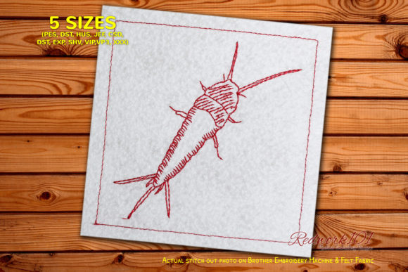 Common Apterygota: A Unique Embroidery Design